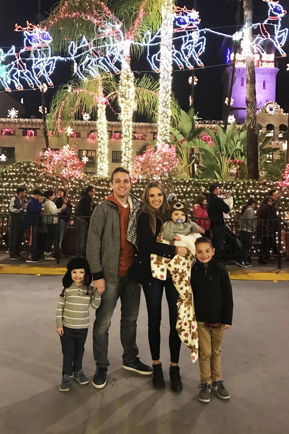 Merrick's Art Christmas Lights
