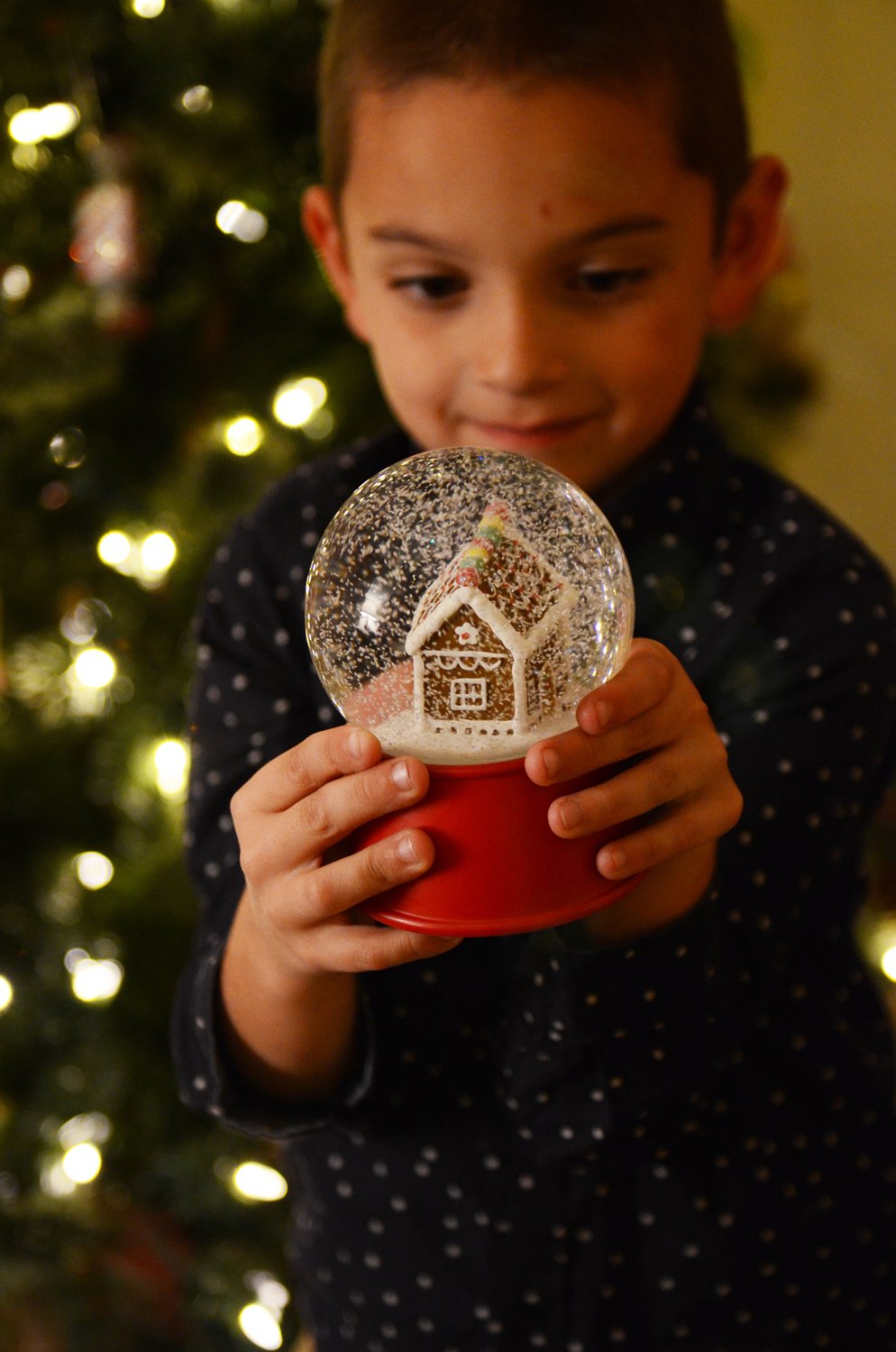 Merrick's Art Snow Globe