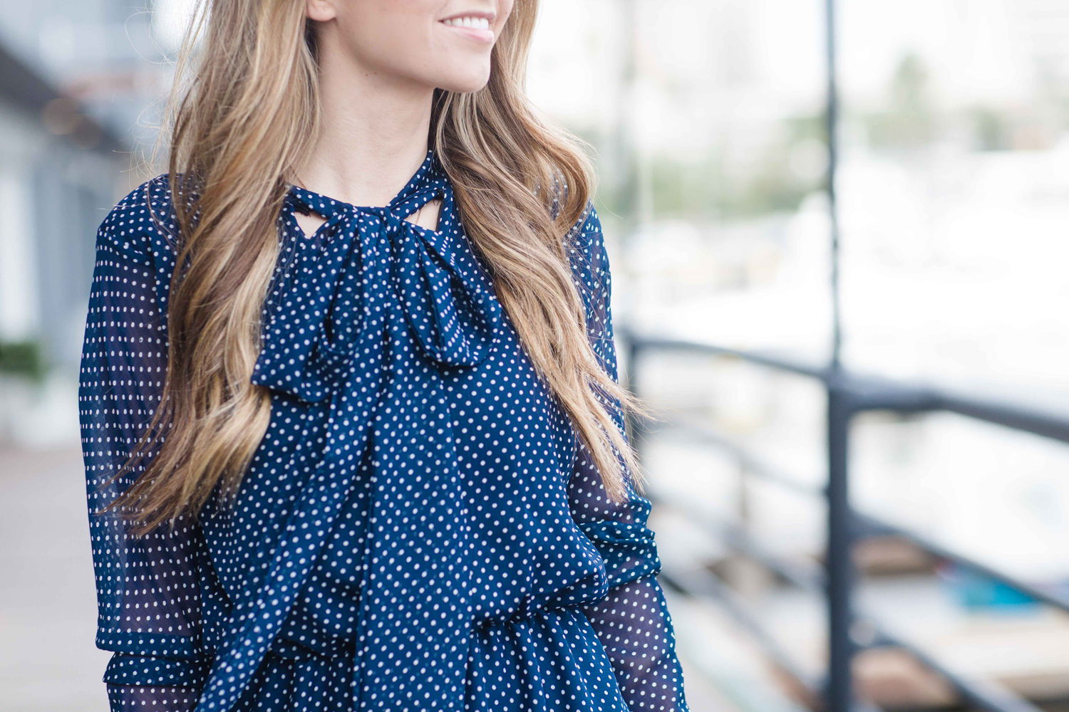 Merrick's Art Bow Collar dress