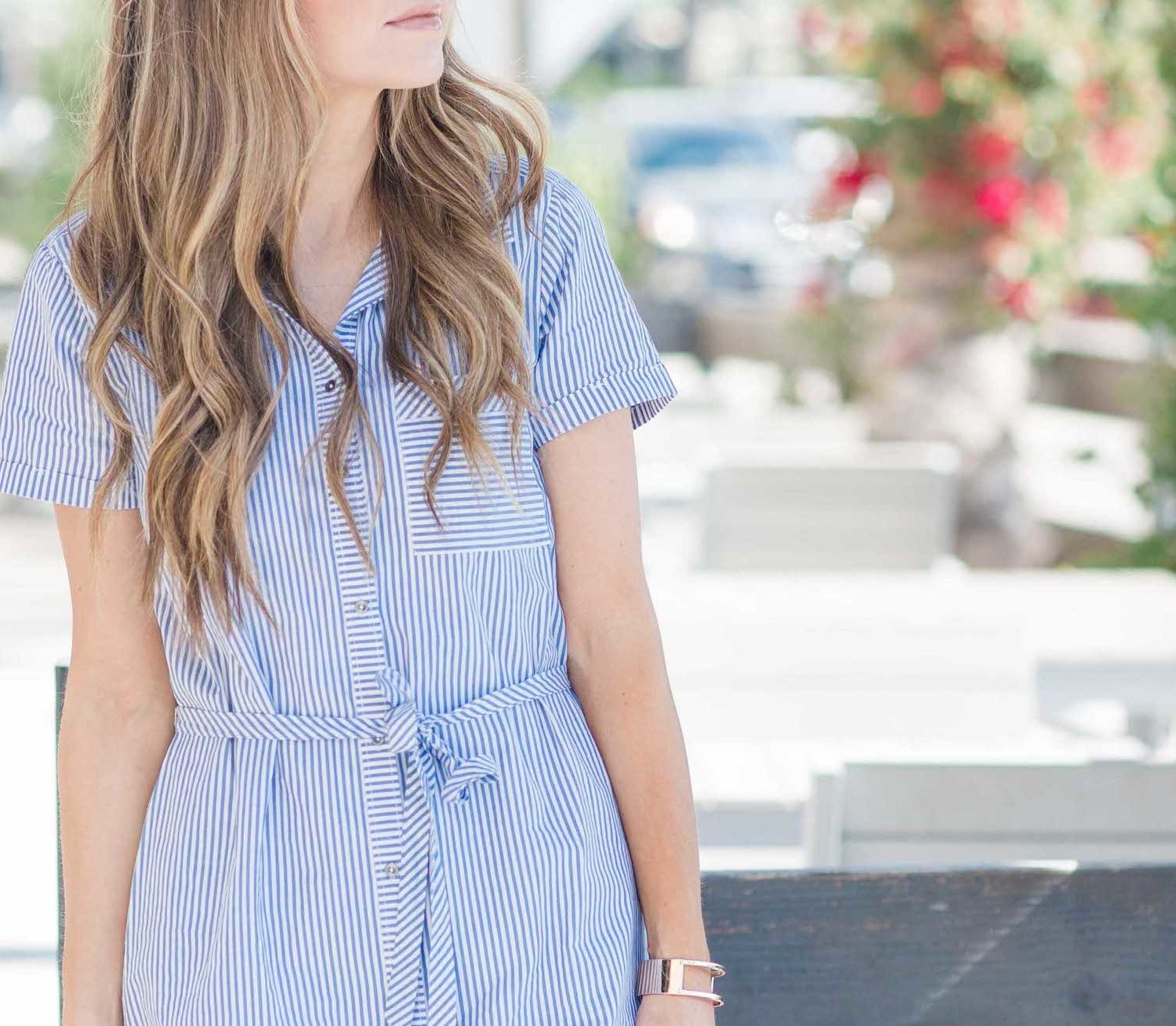 Merrick's Art Blue Striped Dress