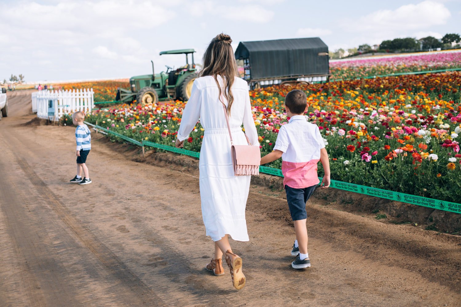 Merrick's Art | Carlsbad Flower Fields with Born