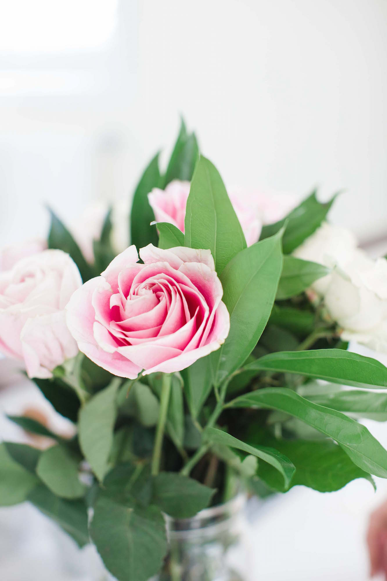 Merrick's Art Pink roses