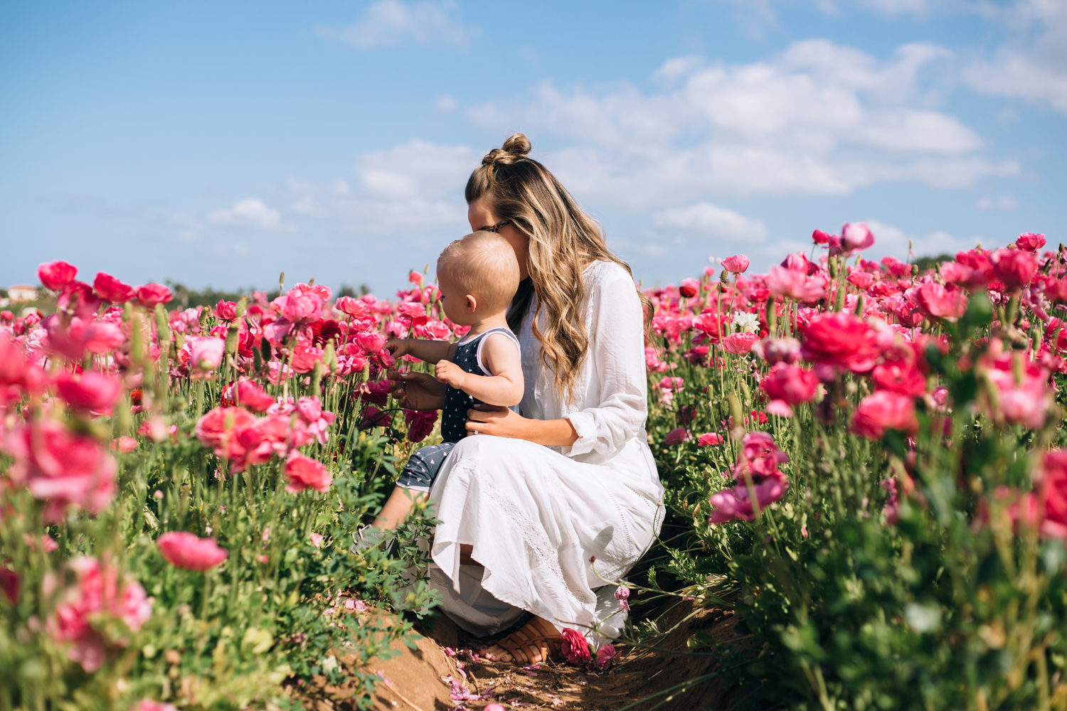 Merrick's Art | Spring Pink Flowers
