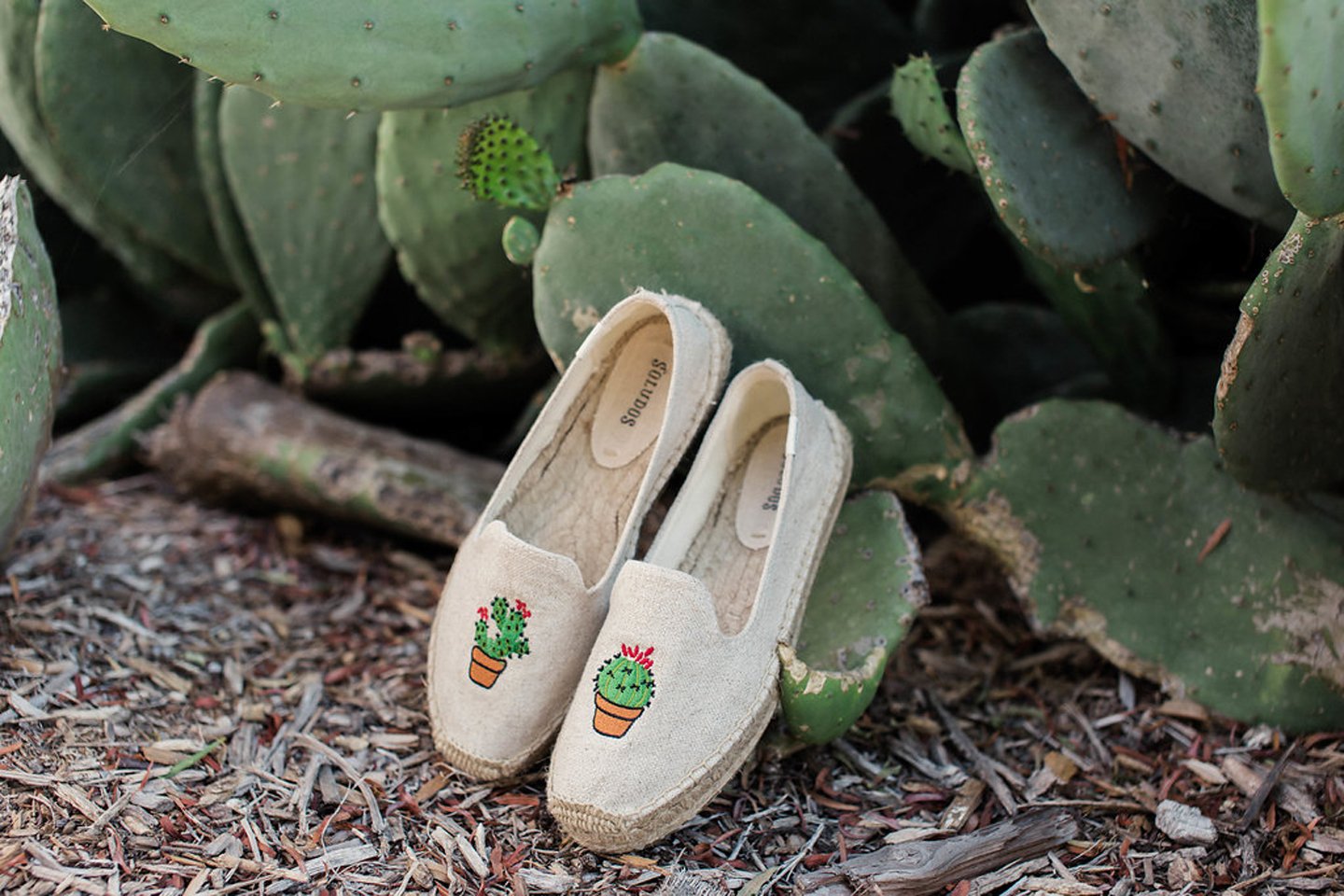 Merricksart.com | Cactus Soludos