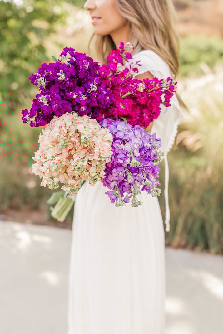 gorgeous stock flowers | merricksart.com