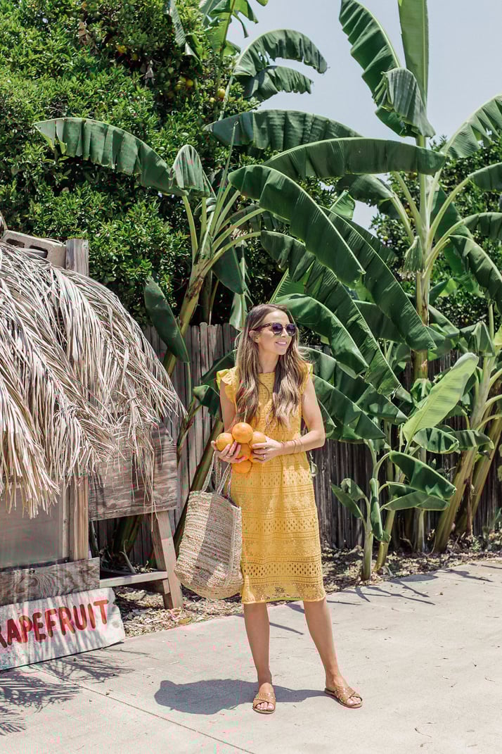 merricksart.com | yellow lace dress and freshly picked oranges