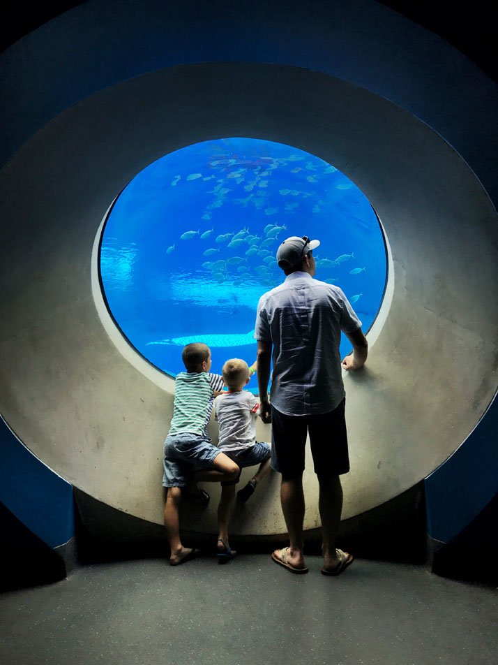 Frost Science Museum in the aquarium