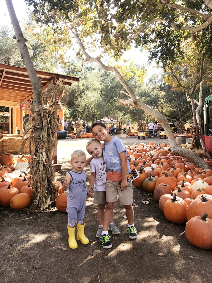 Don't miss the Irvine Regional Park if you're in Orange County! So much to do and it's so fun for families