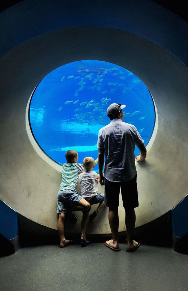 our best money saving tips for family travel