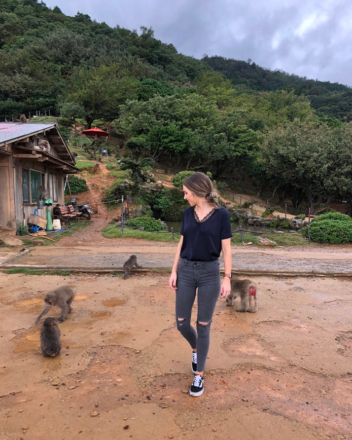 Monkey Park in Kyoto Japan
