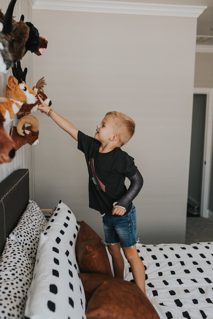 stuffed animal head wall boys room
