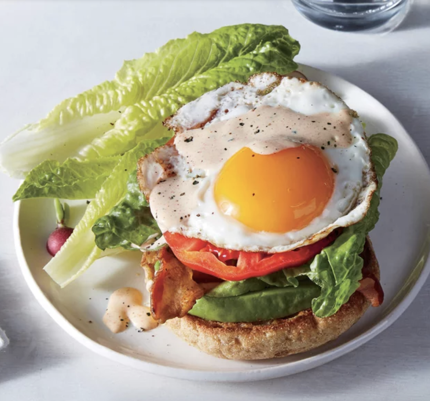 egg avocado sandwich