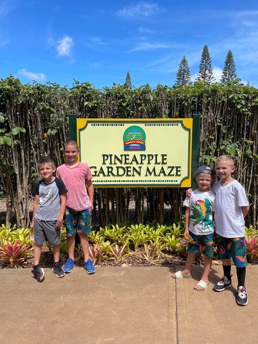 hawaii dole plantation