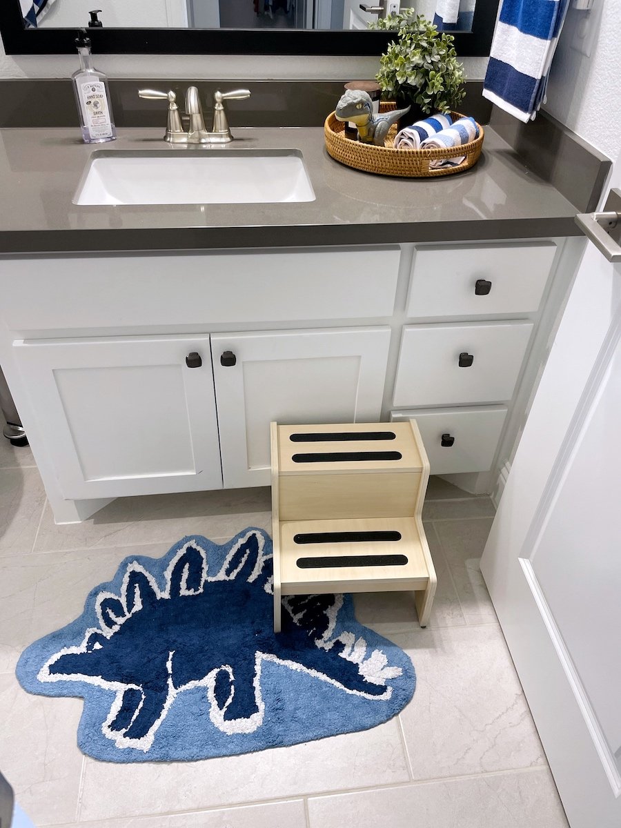 dinosaur GAP rug