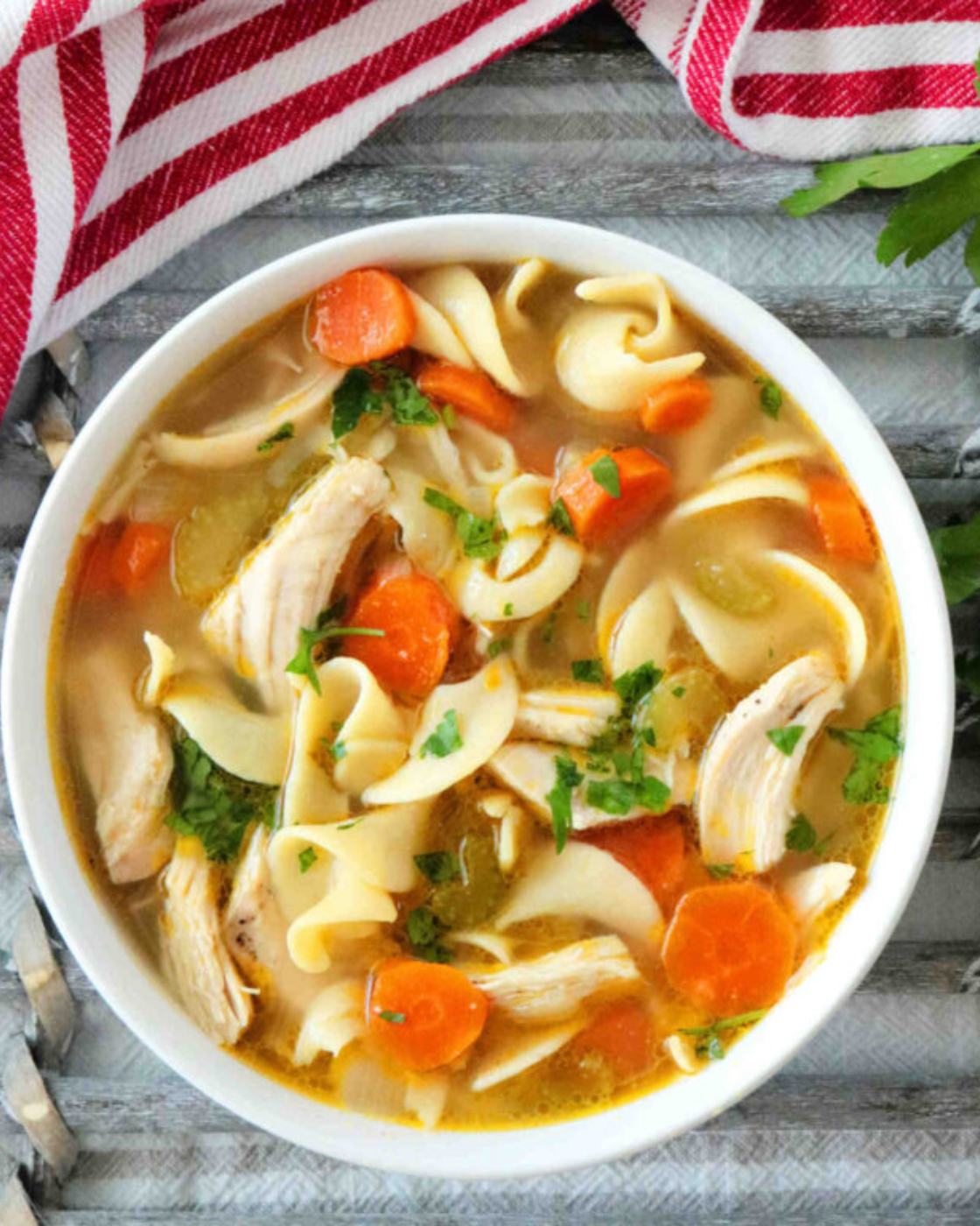 chicken noodle soup